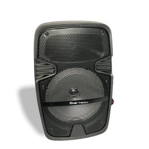 Cabina de Sonido 8” Portátil | Potente, Recargable y Bluetooth