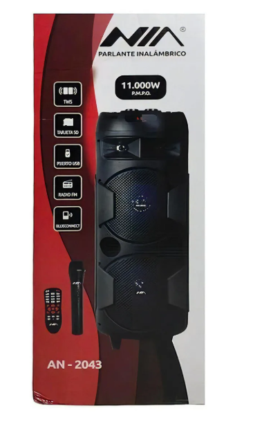 Cabina de Sonido Bluetooth Doble Parlante 8 Pulgadas 11000W con Luces LED AN-2043