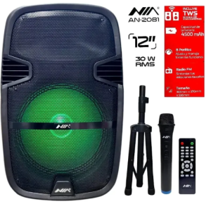Cabina de Sonido Bluetooth Doble Parlante 8 Pulgadas 11000W con Luces LED AN-2043