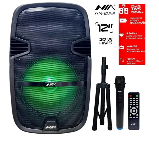 Cabina de Sonido Bluetooth Doble Parlante 8 Pulgadas 11000W con Luces LED AN-2043