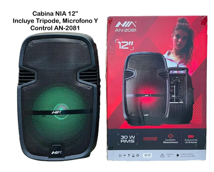 Cabina de Sonido Bluetooth Doble Parlante 8 Pulgadas 11000W con Luces LED AN-2043 - Image 3
