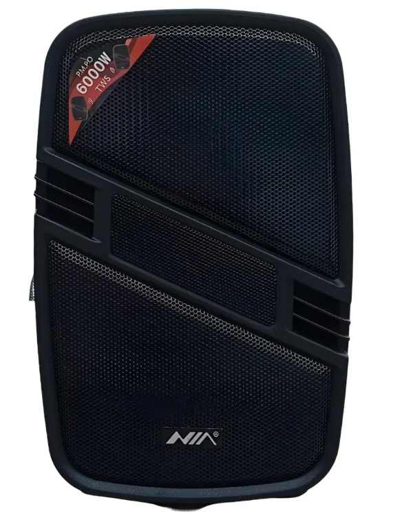 Cabina de Sonido Bluetooth NIA Doble Parlante 6.5” x2 Recargable Ref. AN-2057