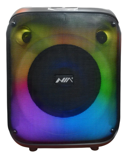 Parlante Inalámbrico Bluetooth NIA AN-2006 40W RMS con Micrófono Karaoke