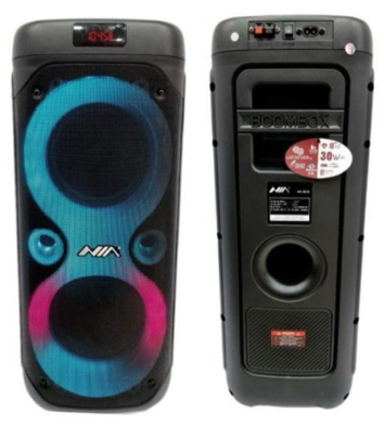 Cabina de Sonido Bluetooth NIA Doble Parlante 8” x2 con Luces RGB Recargable Ref. AN-2045